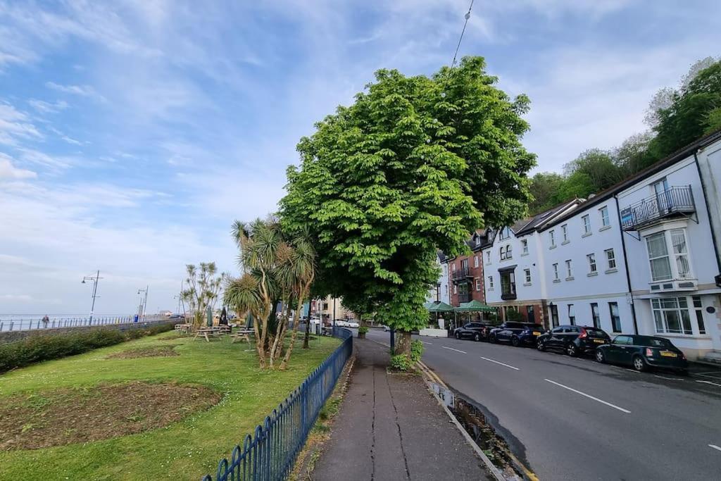 Lovely Seafront With Garden Swansea
